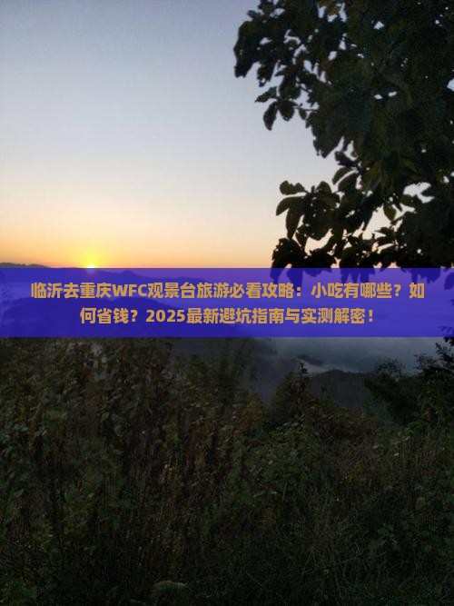 临沂去重庆wfc观景台旅游小吃
