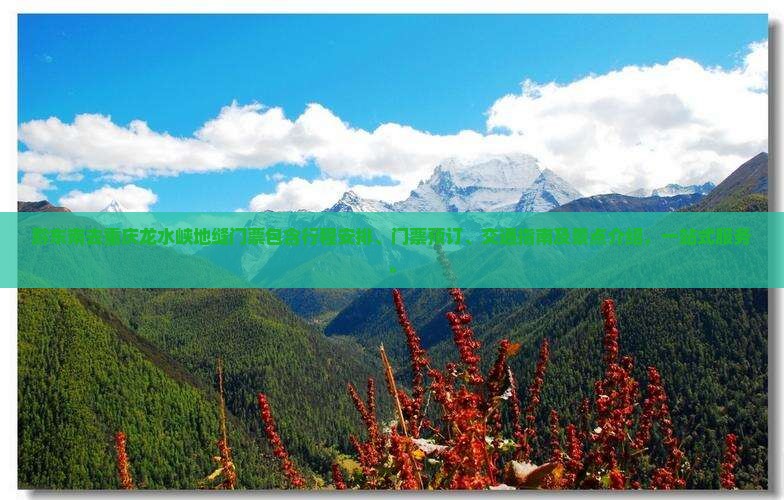 黔东南去重庆龙水峡地缝门票