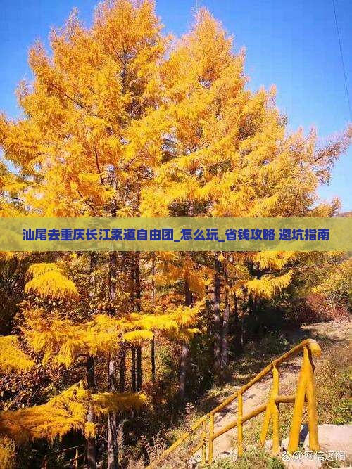 汕尾去重庆长江索道自由团