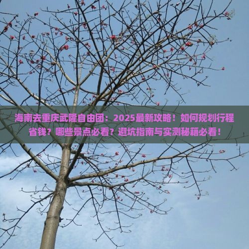 海南去重庆武隆自由团