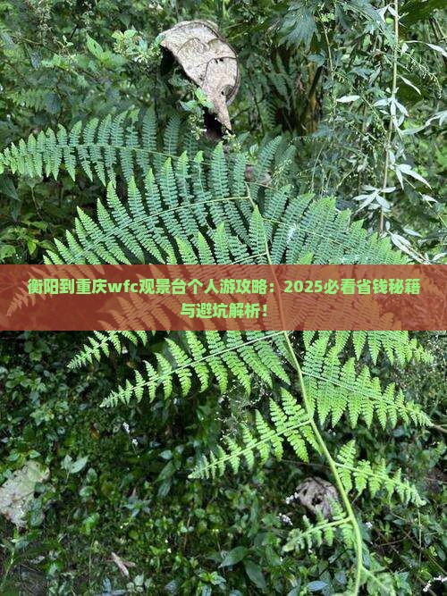衡阳到重庆wfc观景台个人游