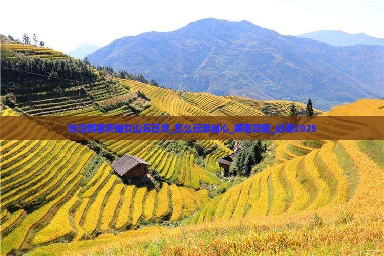 长治到重庆仙女山五日游
