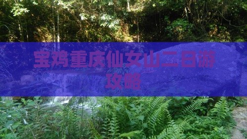 宝鸡去重庆仙女山二日游