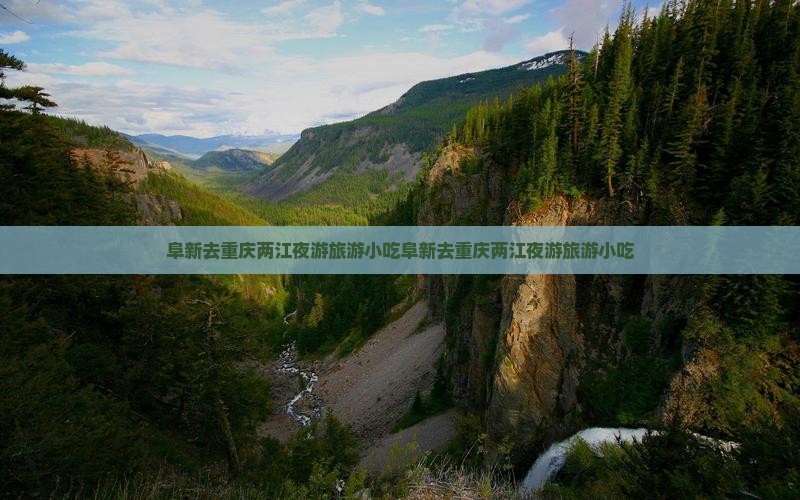 阜新去重庆两江夜游旅游小吃