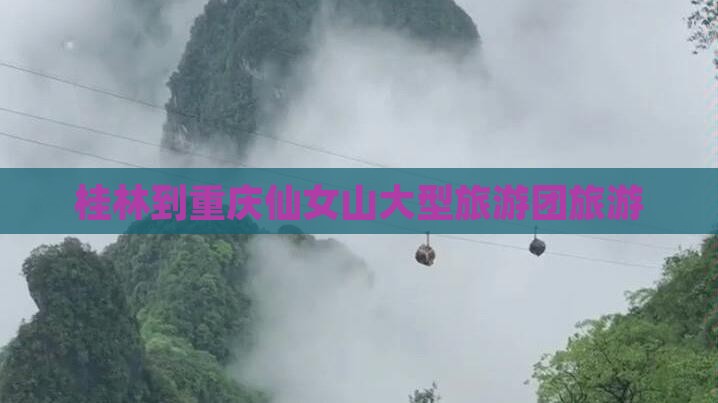 桂林到重庆仙女山大型旅游团
