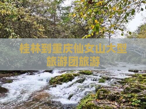 桂林到重庆仙女山大型旅游团