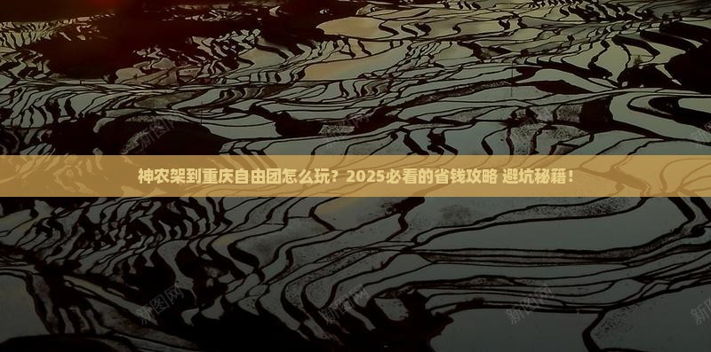 神农架到重庆自由团
