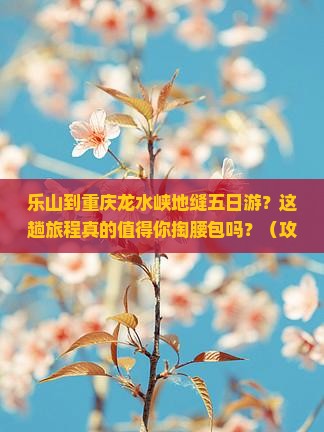 乐山到重庆龙水峡地缝五日游