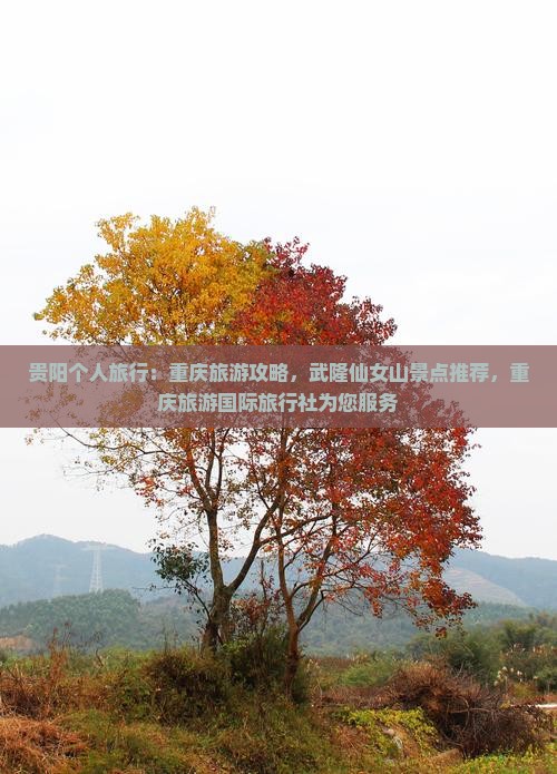 贵阳去重庆仙女山个人游