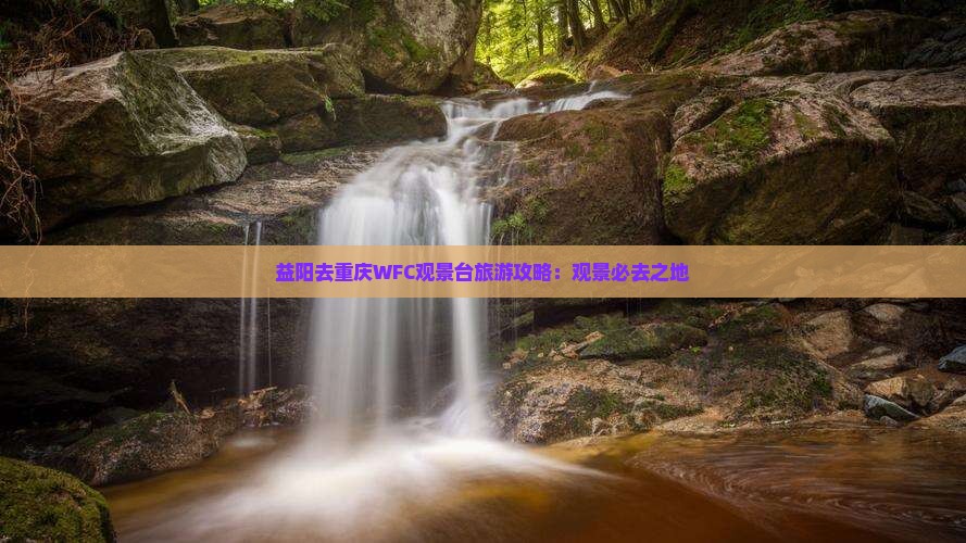 益阳去重庆wfc观景台自由团