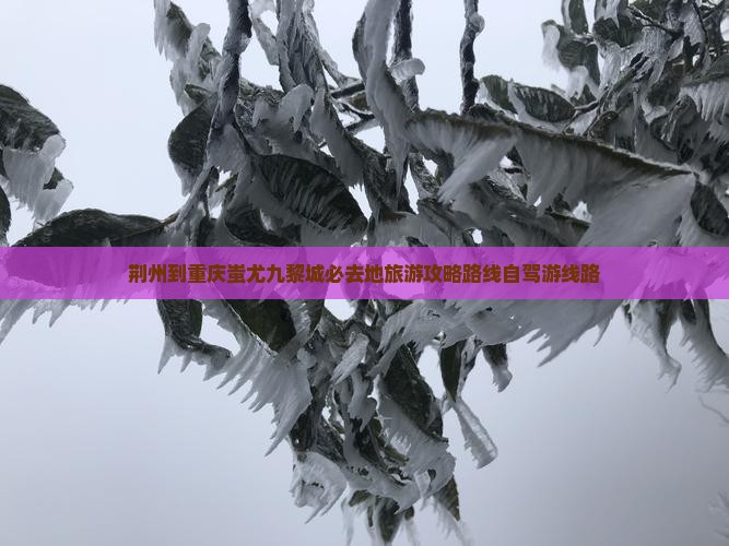 荆州到重庆蚩尤九黎城必去地