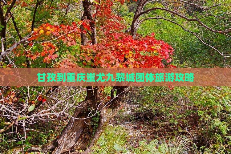 甘孜到重庆蚩尤九黎城团体旅游