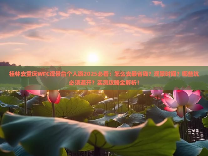 桂林去重庆wfc观景台个人游