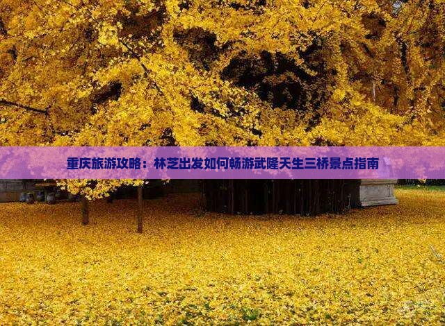 重庆旅游攻略：林芝出发如何畅游武隆天生三桥景点指南