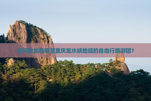 如何参加临猗至重庆龙水峡地缝的自由行旅游团？