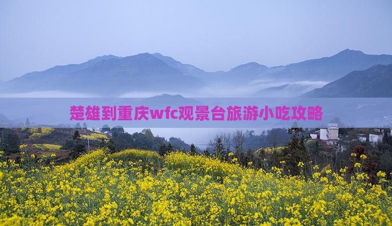 楚雄到重庆wfc观景台旅游小吃攻略