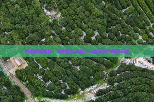 重庆旅游攻略：漳州出发探秘乌江画廊精华旅游景点