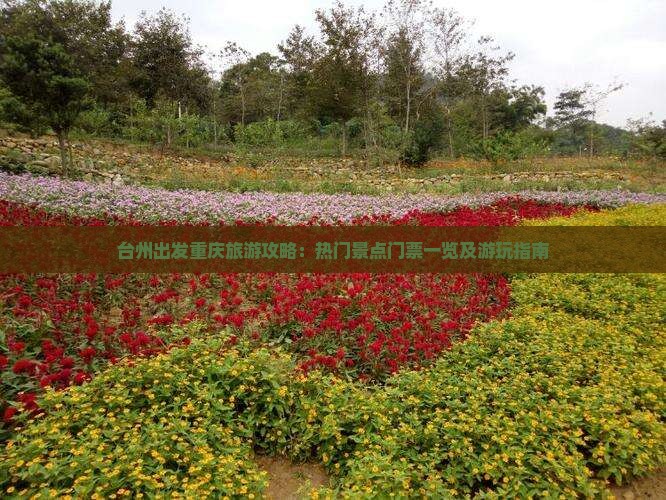 台州出发重庆旅游攻略：热门景点门票一览及游玩指南