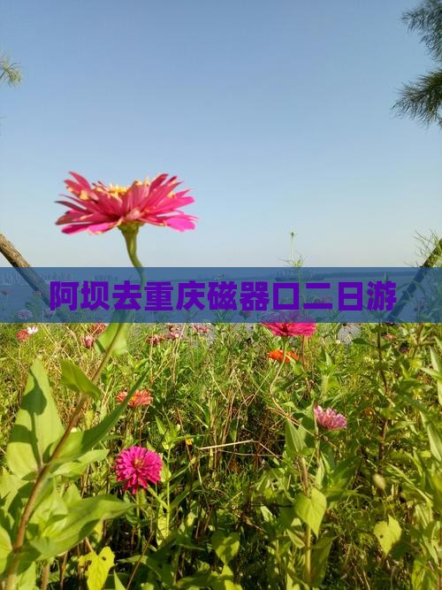 阿坝去重庆磁器口二日游