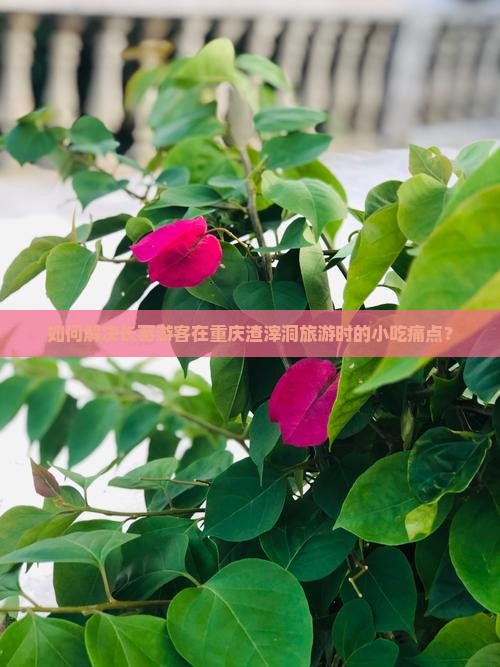 如何解决长葛游客在重庆渣滓洞旅游时的小吃痛点？
