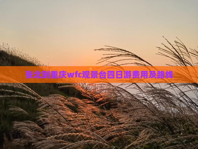 张北到重庆wfc观景台四日游费用及路线