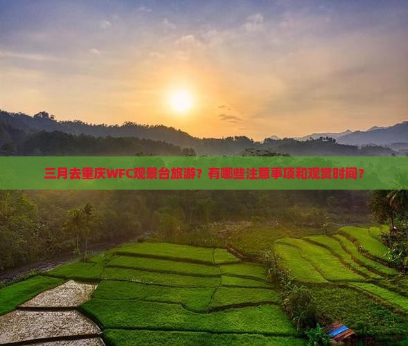 三月去重庆WFC观景台旅游？有哪些注意事项和观赏时间？