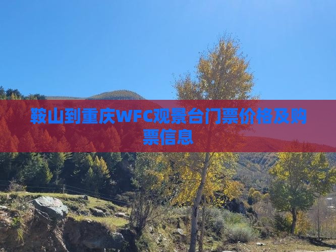 鞍山到重庆WFC观景台门票价格及购票信息