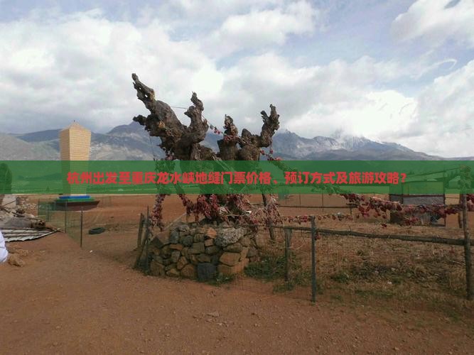 杭州出发至重庆龙水峡地缝门票价格、预订方式及旅游攻略？