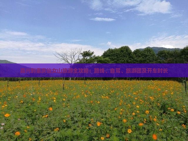 嘉兴到重庆仙女山旅游全攻略：路线、自驾、旅游团及开车时长