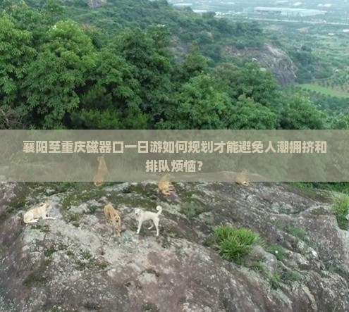 襄阳至重庆磁器口一日游如何规划才能避免人潮拥挤和排队烦恼？