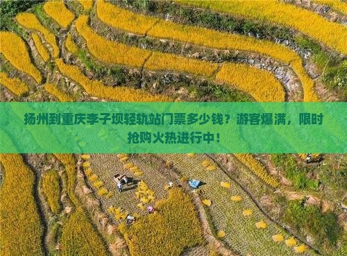扬州到重庆李子坝轻轨站门票多少钱？游客爆满，限时抢购火热进行中！