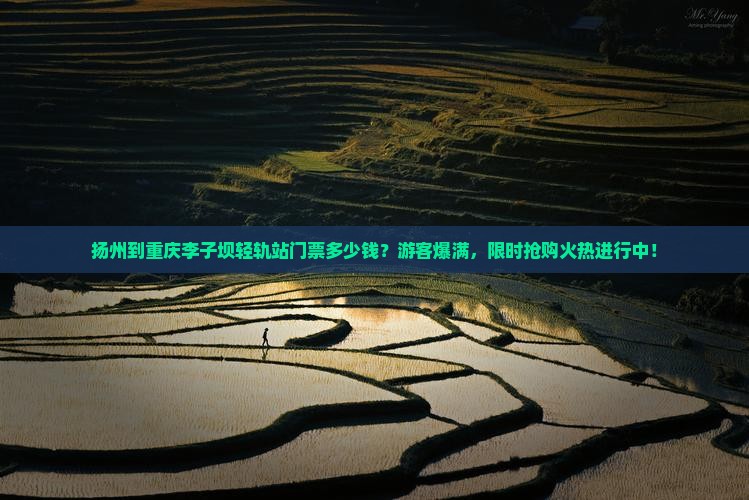 扬州到重庆李子坝轻轨站门票多少钱？游客爆满，限时抢购火热进行中！