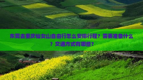 东莞去重庆仙女山自由行怎么安排行程？需要准备什么？交通方式有哪些？