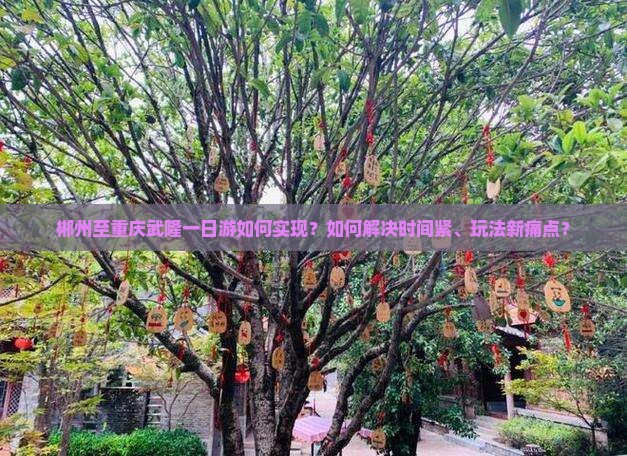 郴州至重庆武隆一日游如何实现？如何解决时间紧、玩法新痛点？