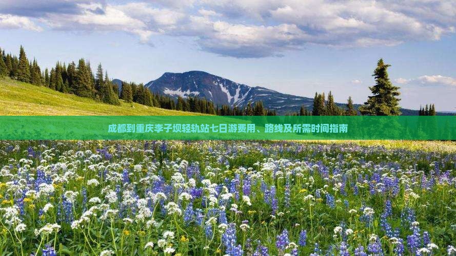 成都到重庆李子坝轻轨站七日游费用、路线及所需时间指南