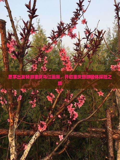 思茅出发畅游重庆乌江画廊，开启重庆旅游团体探险之旅