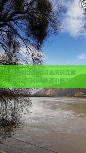 景德镇出发游览重庆长江索道，如何挑选地道小吃以满足味蕾需求？
