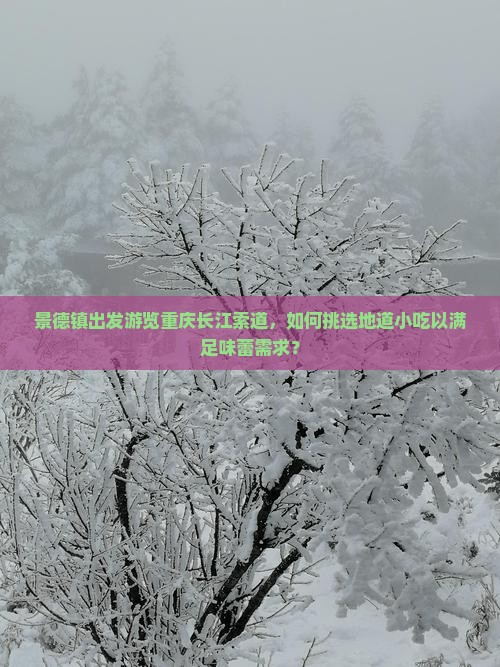 景德镇出发游览重庆长江索道，如何挑选地道小吃以满足味蕾需求？
