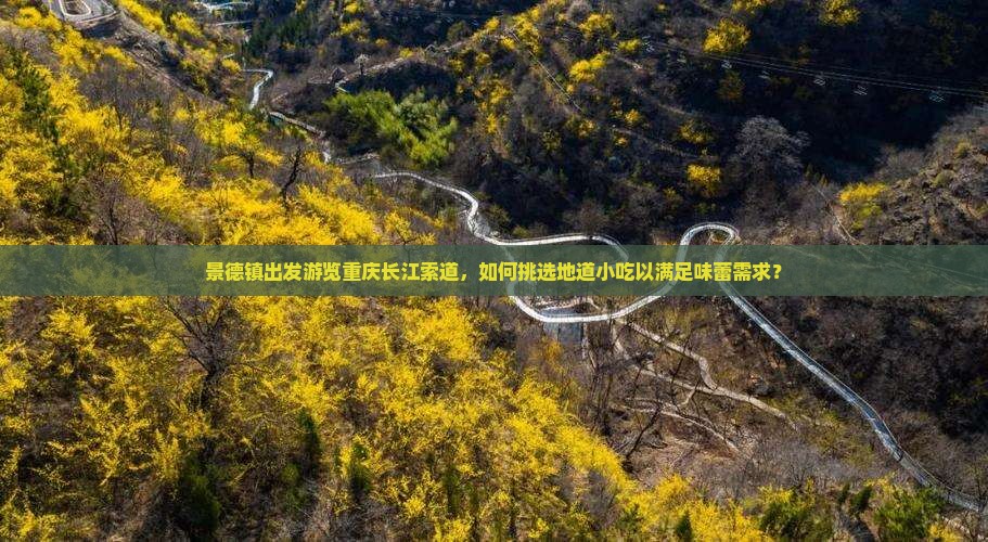 景德镇出发游览重庆长江索道，如何挑选地道小吃以满足味蕾需求？