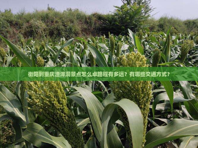 衡阳到重庆渣滓洞景点怎么卓路程有多远？有哪些交通方式？