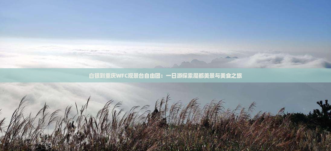 白银到重庆WFC观景台自由团：一日游探索魔都美景与美食之旅