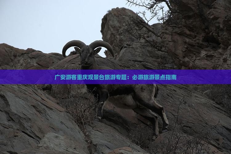 广安游客重庆观景台旅游专题：必游旅游景点指南