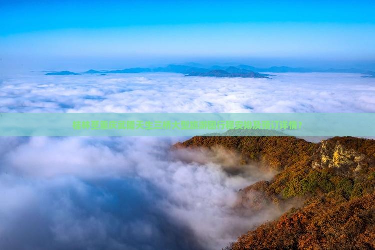 桂林至重庆武隆天生三桥大型旅游团行程安排及预订详情？