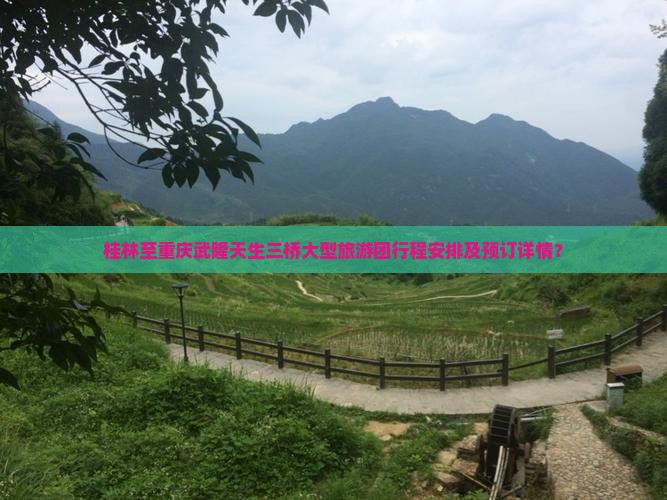 桂林至重庆武隆天生三桥大型旅游团行程安排及预订详情？
