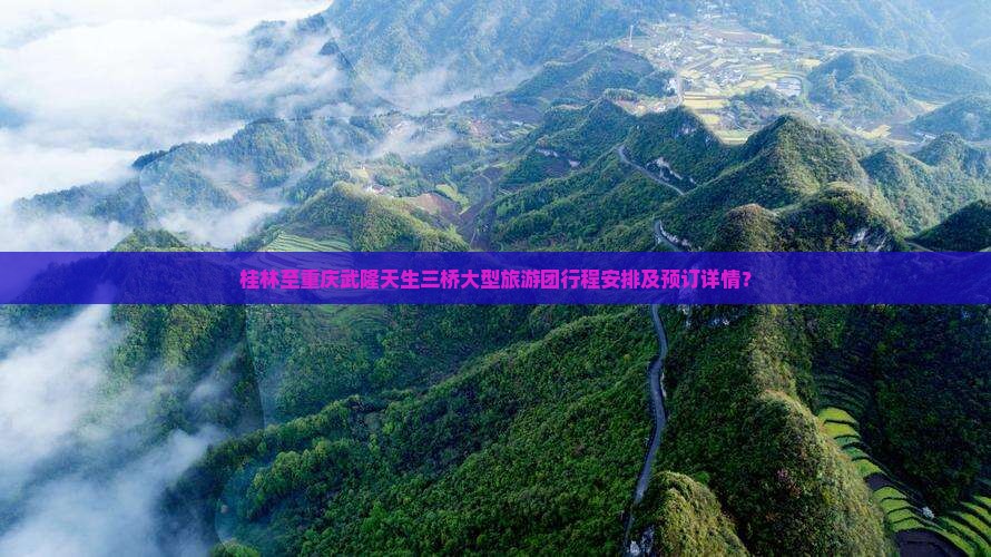 桂林至重庆武隆天生三桥大型旅游团行程安排及预订详情？