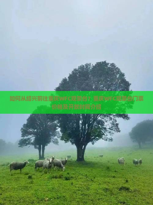 如何从绍兴前往重庆WFC观景台？重庆WFC观景台门票价格及开放时间介绍