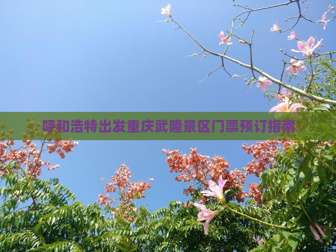 呼和浩特出发重庆武隆景区门票预订指南