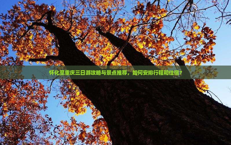 怀化至重庆三日游攻略与景点推荐，如何安排行程和住宿？
