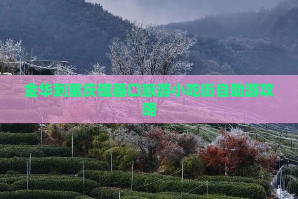 金华到重庆磁器口旅游小吃街自助游攻略