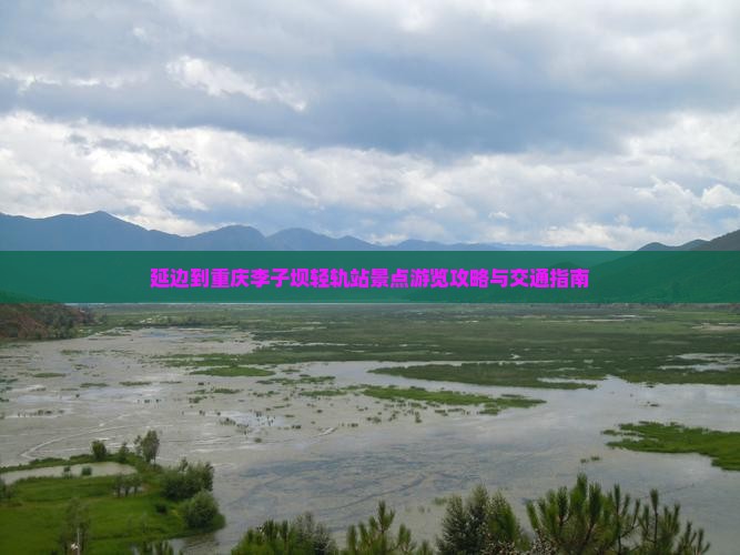 延边到重庆李子坝轻轨站景点游览攻略与交通指南